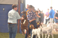 Allen County Fair Rides and Goat Show - 8/21/23