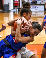 Girls basketball - Crestview vs. Toledo Christian - 3/1/23