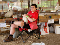 Putnam County Fair - Animals - 6/21/23
