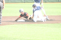 Coldwater vs. Napoleon at ACME state tournament