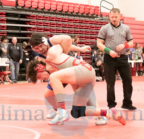 Allen East's Brogan Paxson (Back) takes down Columbus Grove's Ty