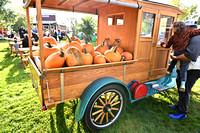 Pumpkin Train Festival - 9/25/22